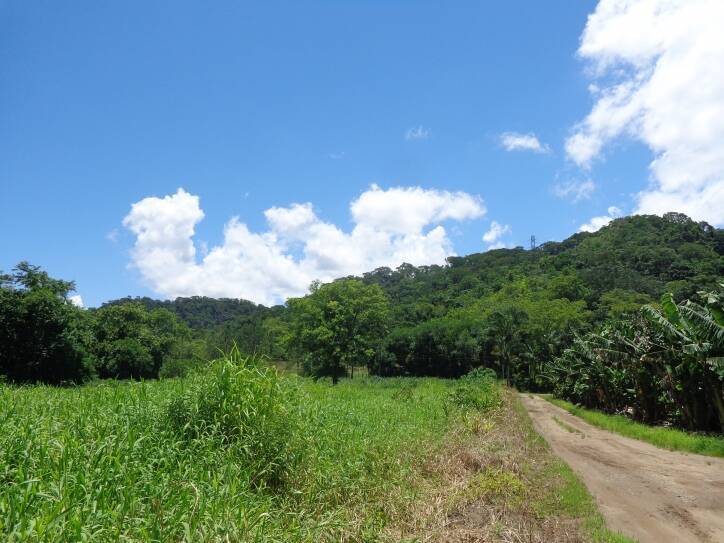 #004 -CH - Chácara para Venda em Itariri - SP