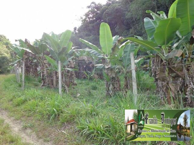 Chácara para Venda em Itariri - 4