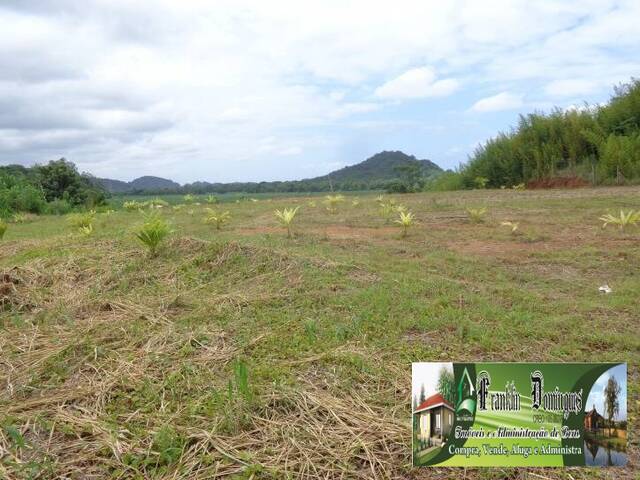 #298 CH - Chácara para Venda em Itariri - SP - 3