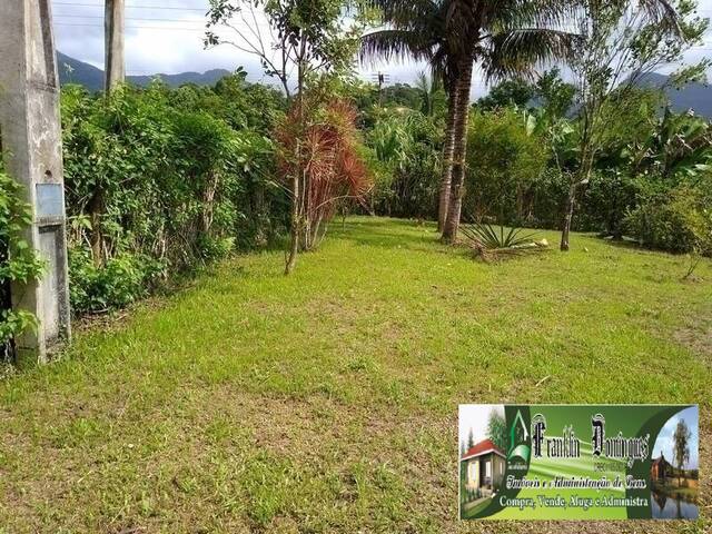 Chácara para Venda em Itariri - 4