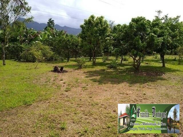 Chácara para Venda em Itariri - 5