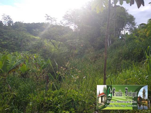 Chácara para Venda em Itariri - 4