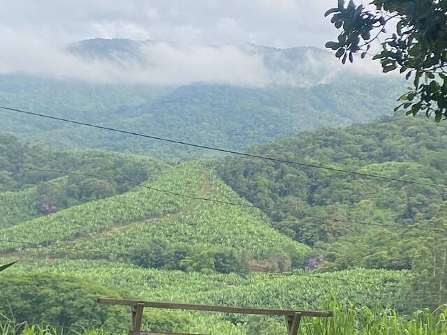 Chácara para Venda em Itariri - 5