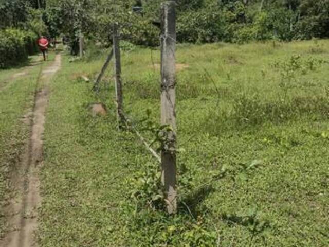 Chácara para Venda em Itariri - 5