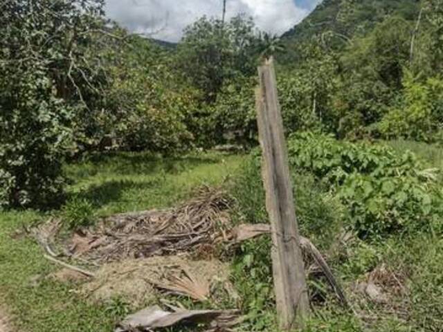Chácara para Venda em Itariri - 4