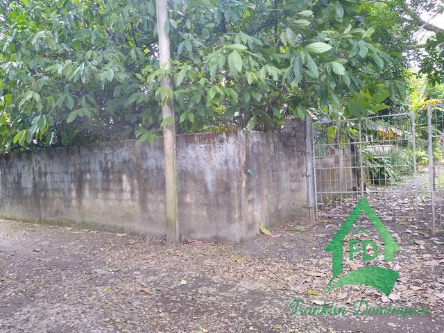 #388 - CH - Chácara para Venda em Itariri - SP - 3